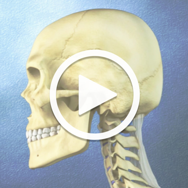 Whiplash Animation - Spinal Ligaments